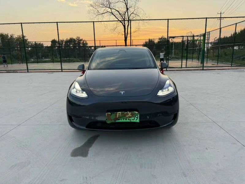 徐州24年特斯拉MODEL Y1