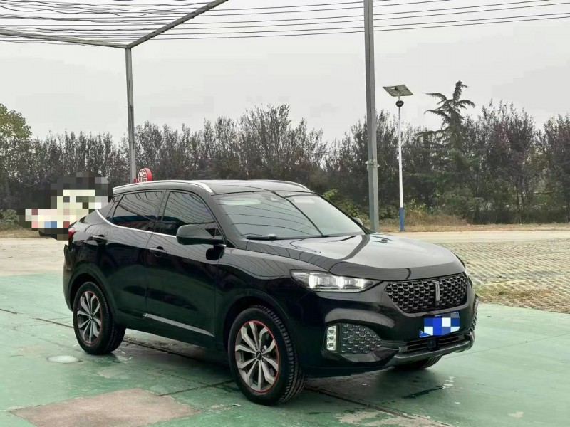 淄博21年長城汽車WEY VV63
