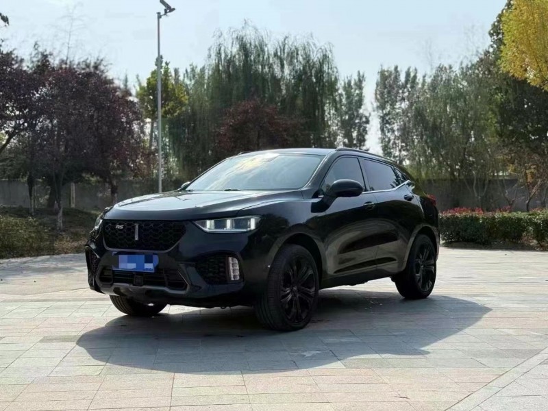 泰安18年長城汽車WEY VV59