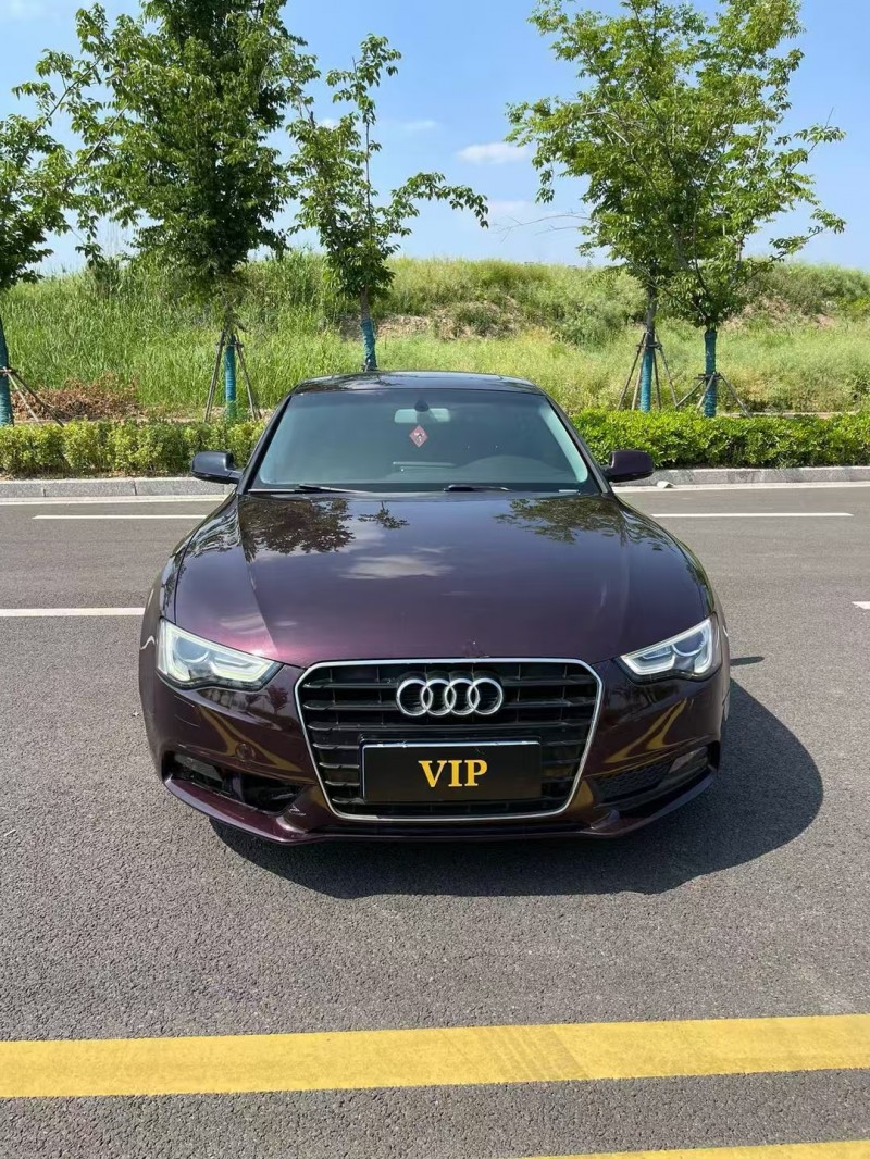 徐州14年奥迪A51