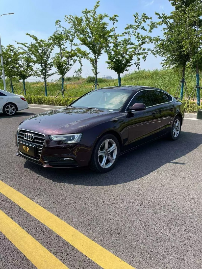 徐州14年奥迪A52