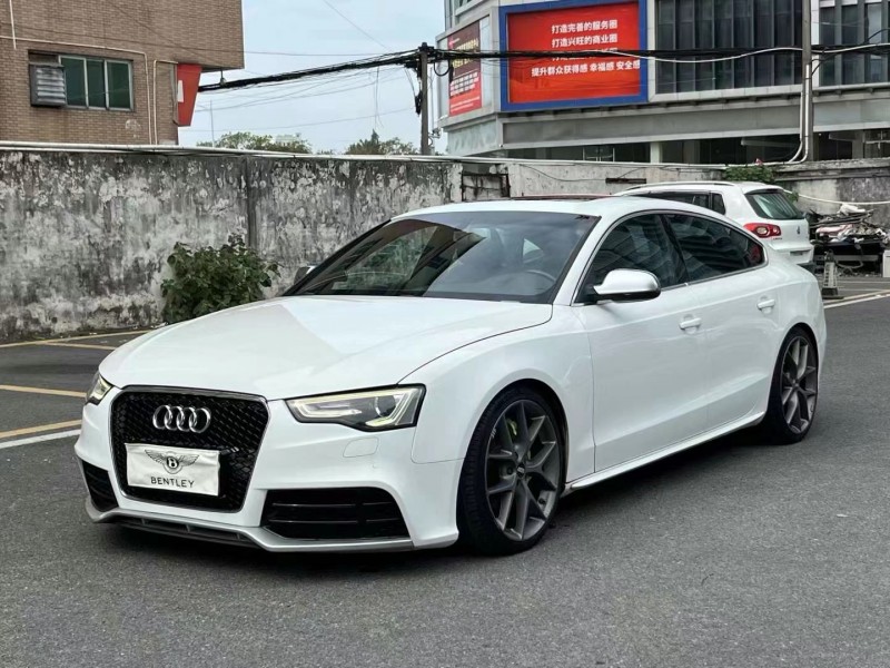 广州13年奥迪S52