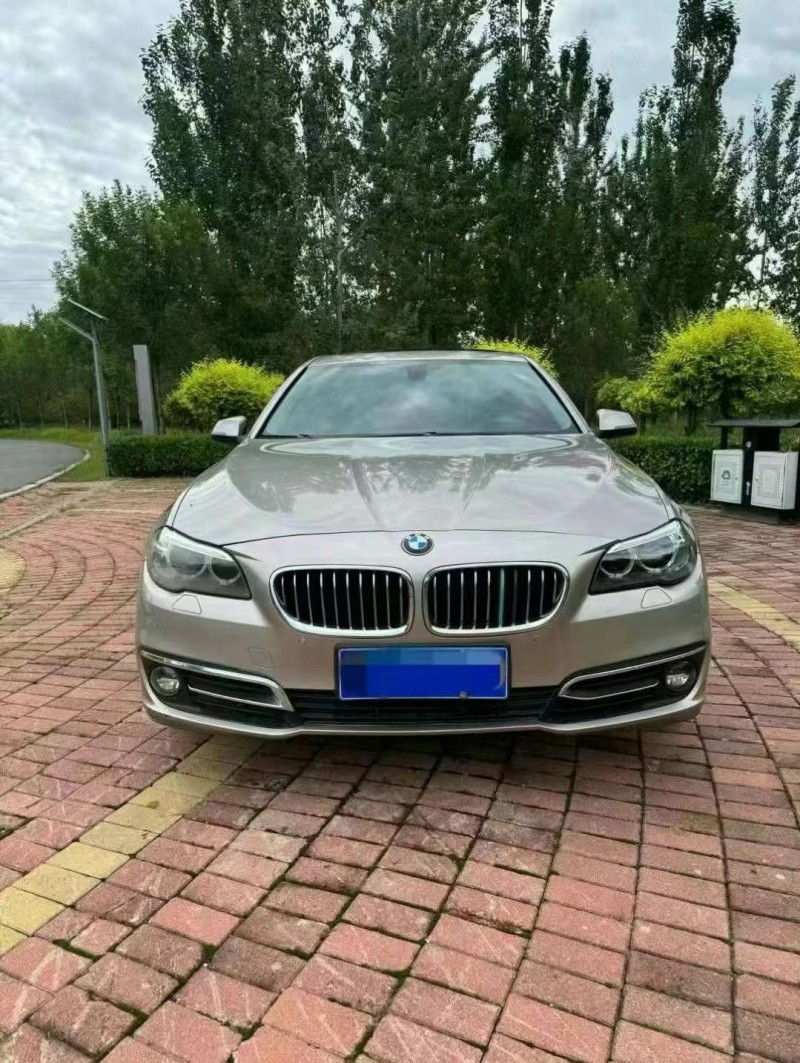 保定15年宝马5系1