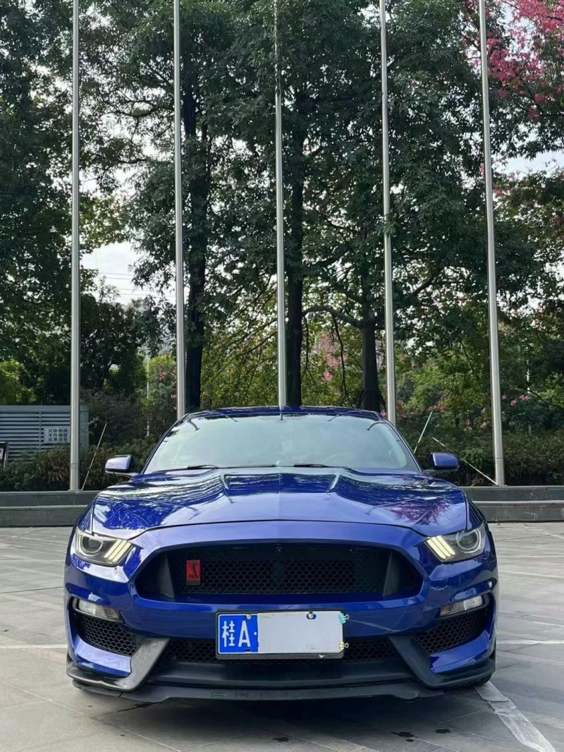 佛山16年福特野马1