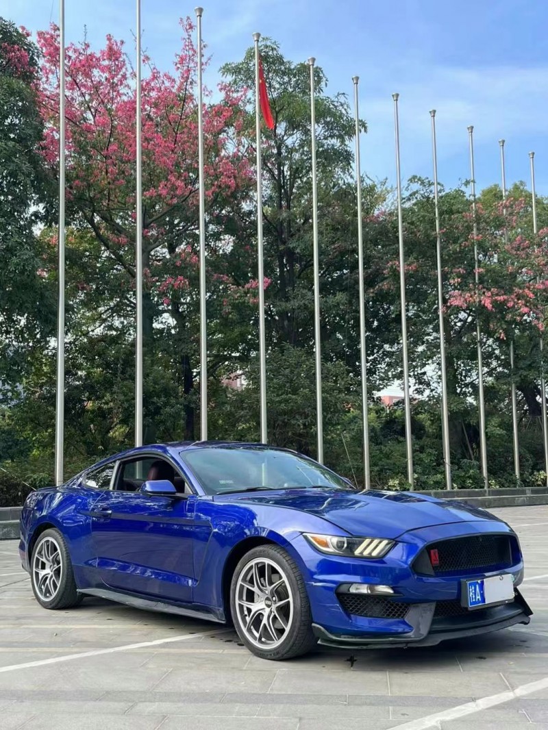 佛山16年福特野马2