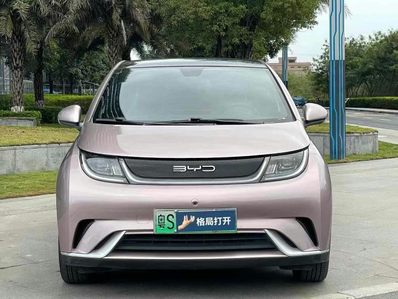 东莞22年比亚迪海豚1