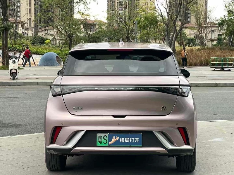 东莞22年比亚迪海豚7