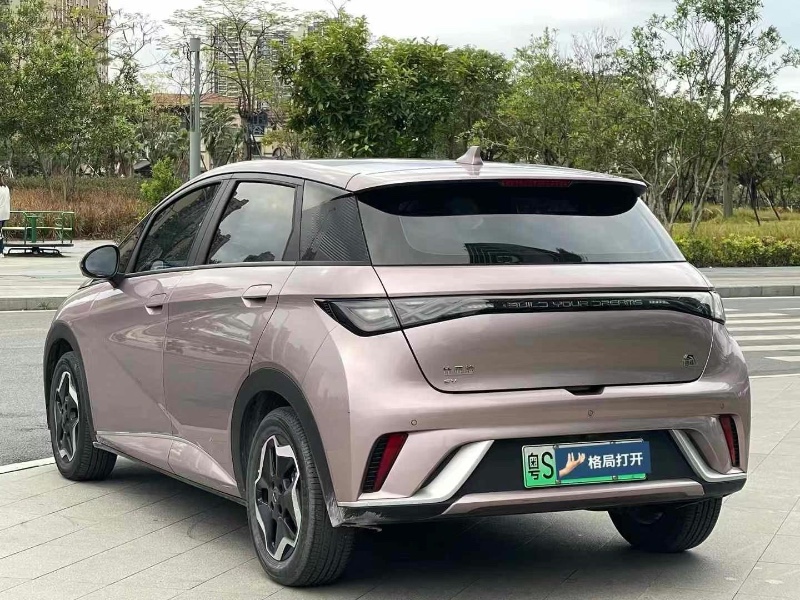 东莞22年比亚迪海豚8