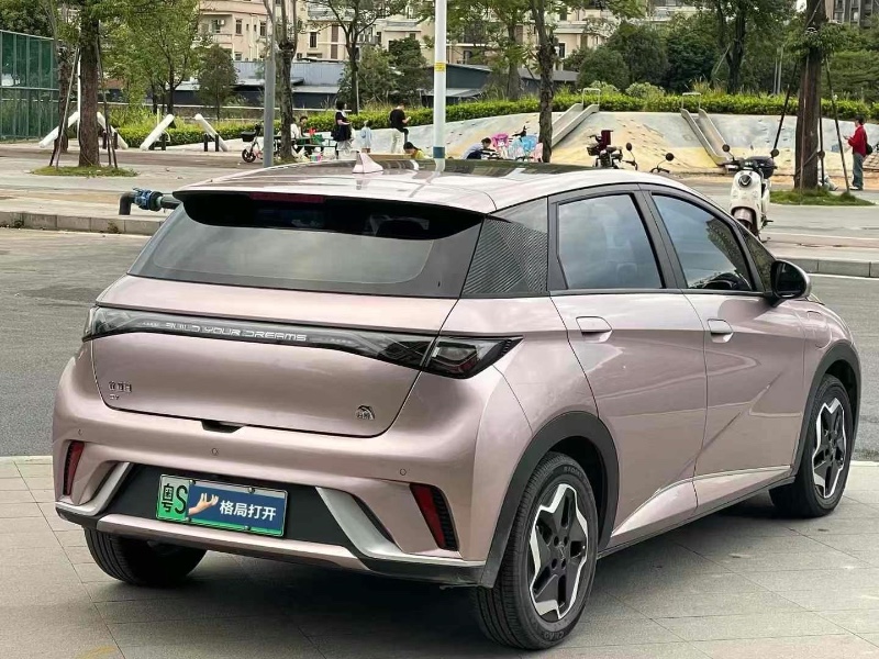 东莞22年比亚迪海豚9