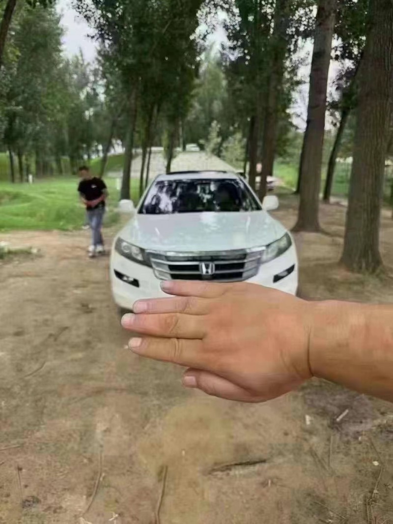 菏泽14年本田歌诗图1