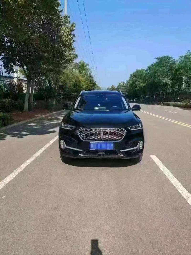 泰安21年長城汽車WEY VV61