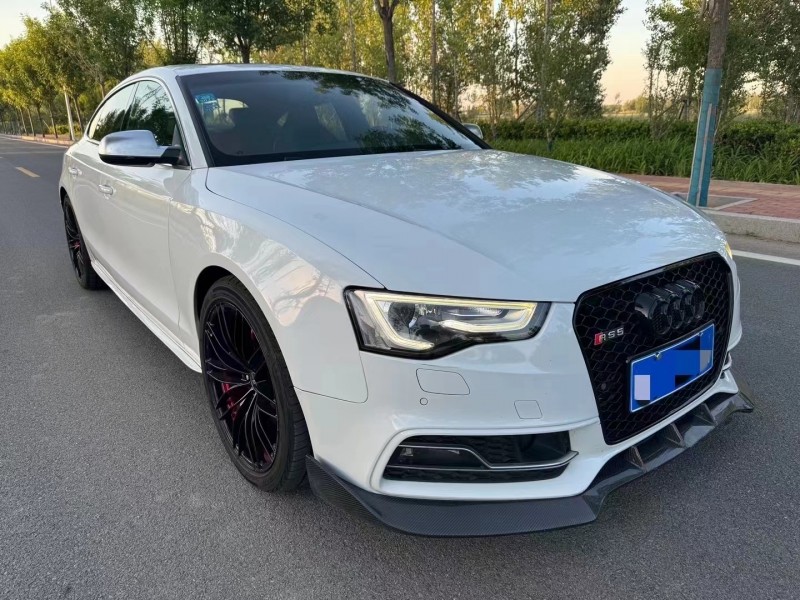 廊坊16年奥迪S53