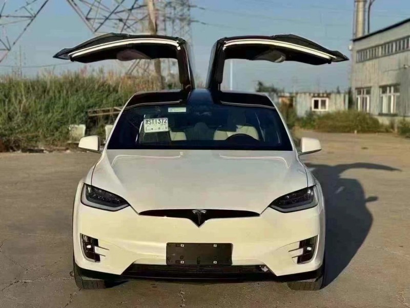 滄州20年特斯拉MODEL X1