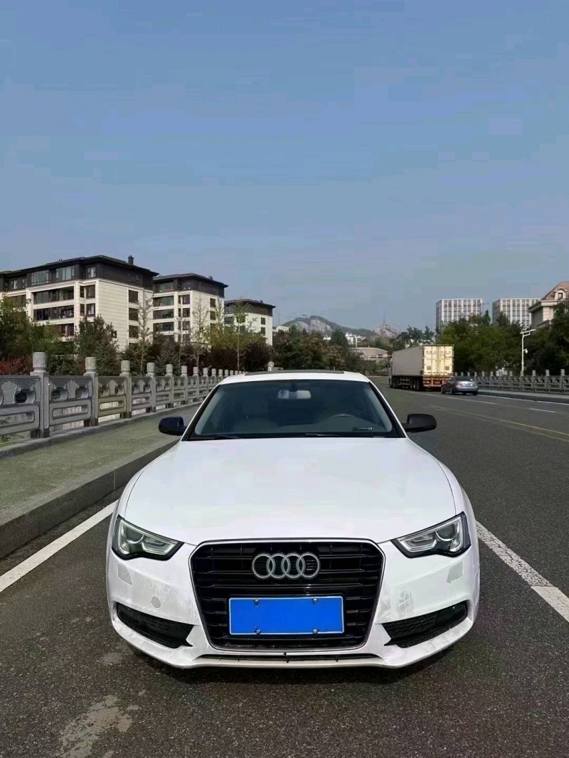 青岛13年奥迪A51