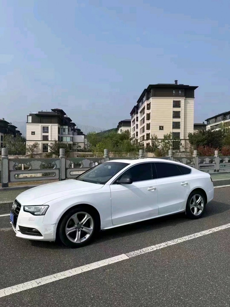 青岛13年奥迪A53
