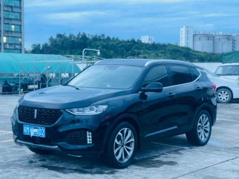 東莞18年長城汽車WEY VV63