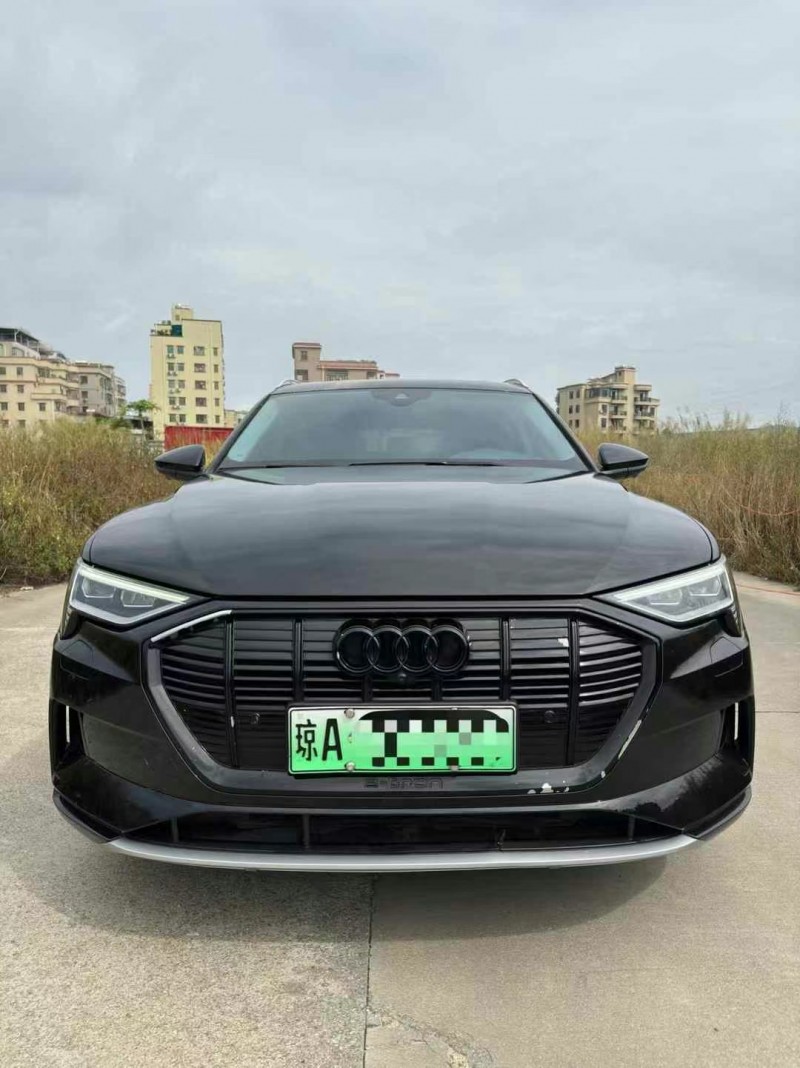 广州21年奥迪E-tron纯电1