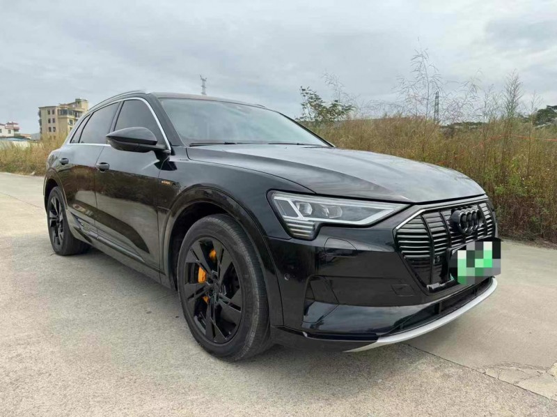 广州21年奥迪E-tron纯电3