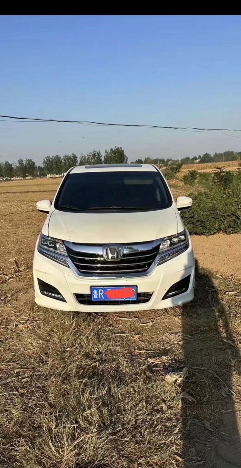 菏泽19年本田艾力绅1