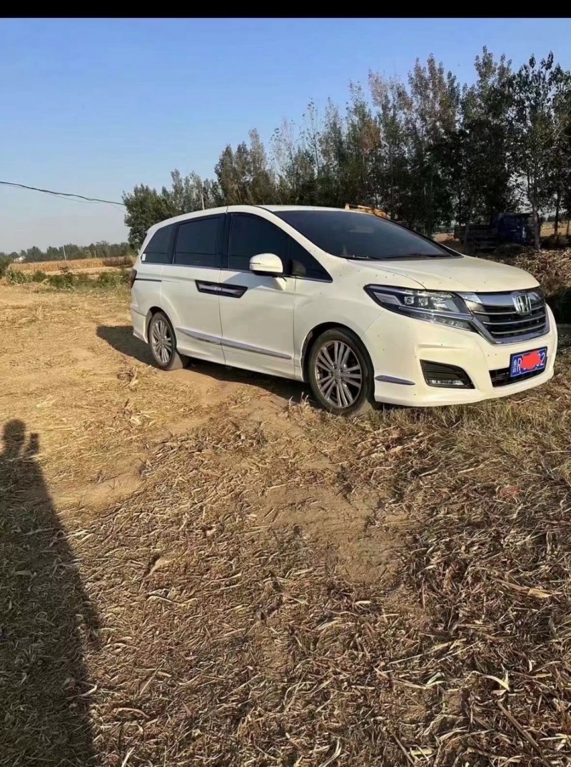 菏泽19年本田艾力绅2