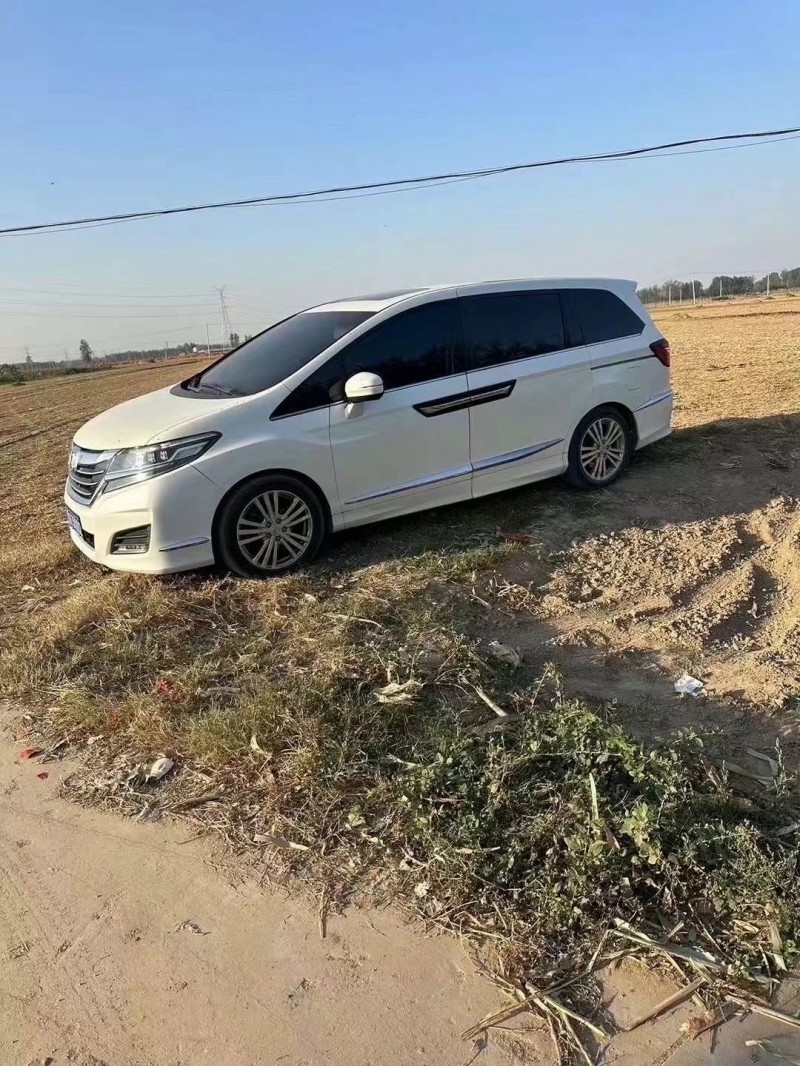 菏泽19年本田艾力绅6