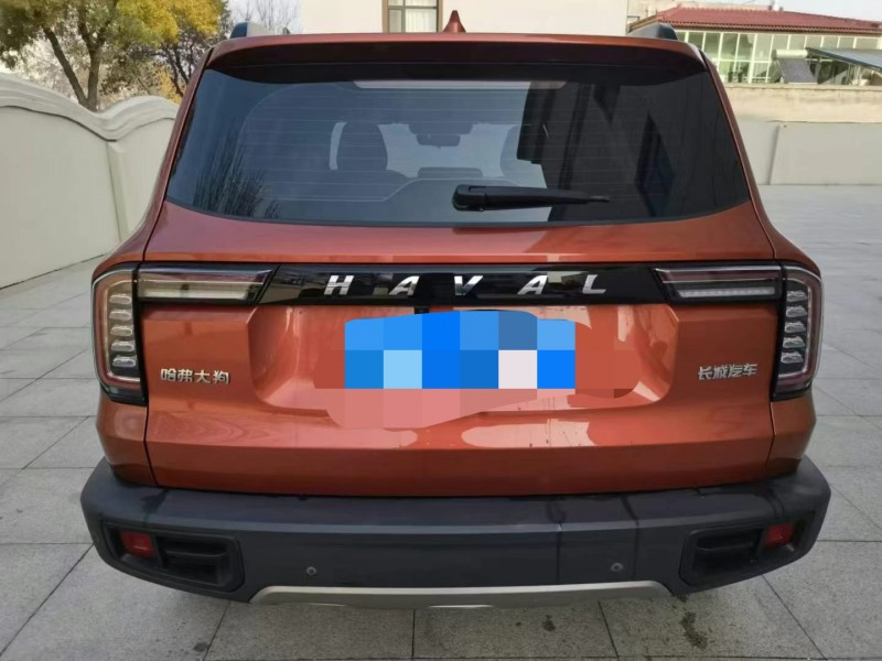 保定21年哈弗大狗6