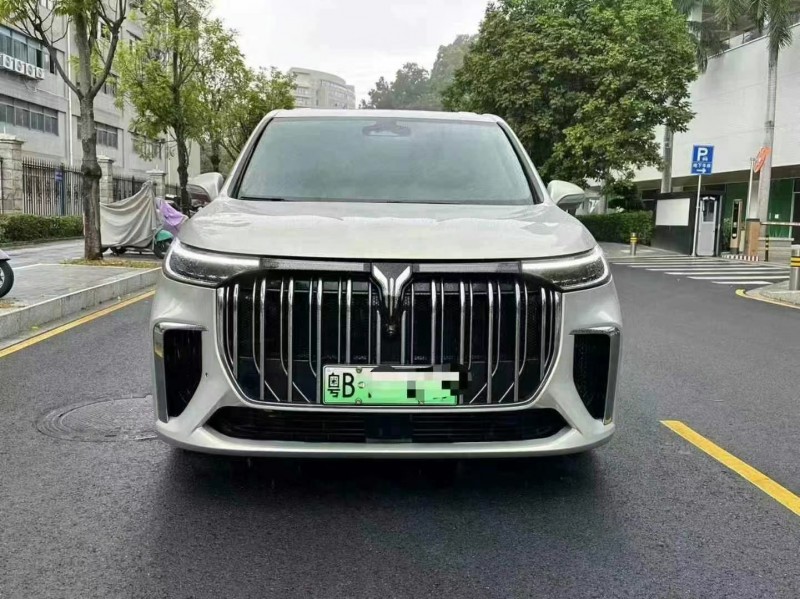 深圳22年嵐圖汽車夢想家1