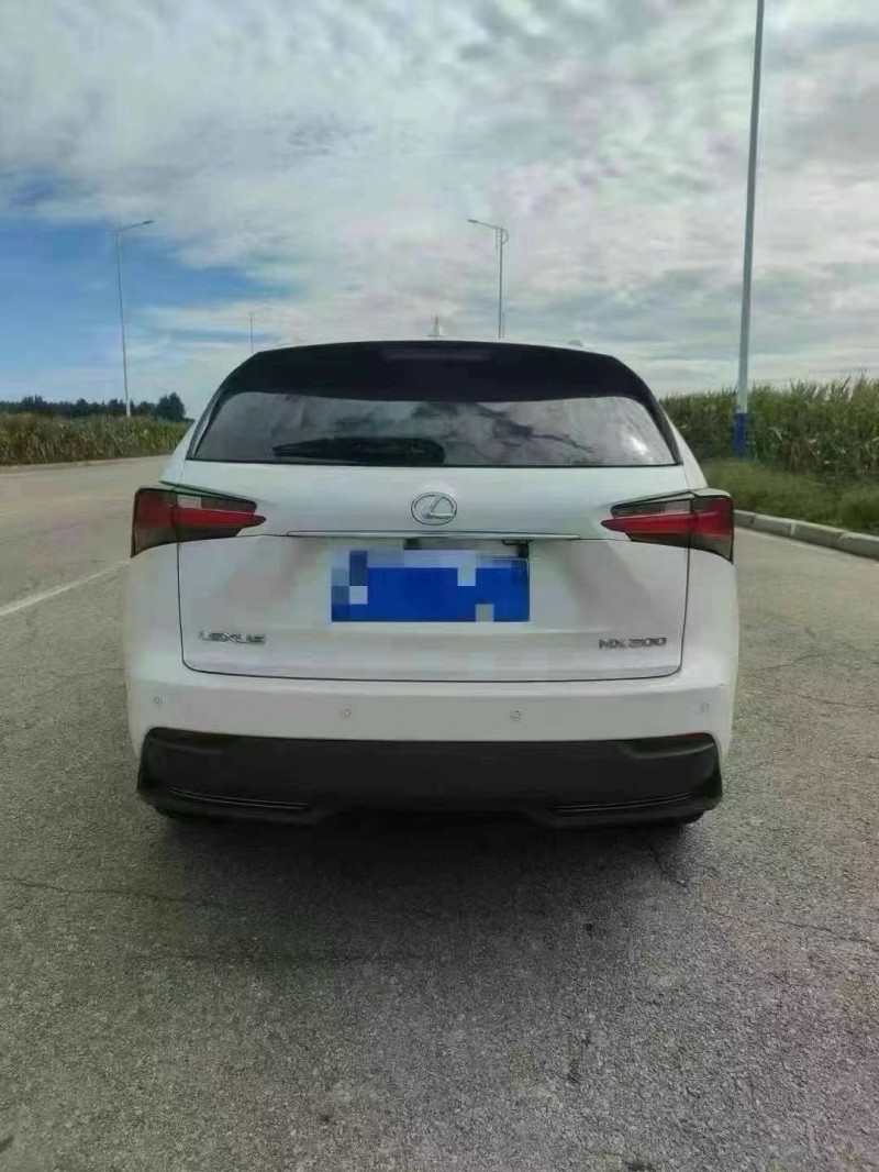 保定15年雷克萨斯NX2