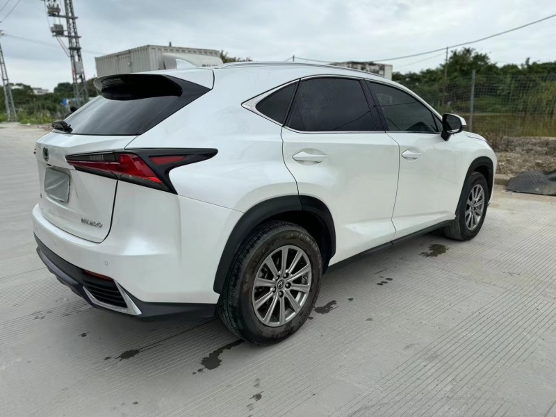 汕頭19年雷克薩斯NX8
