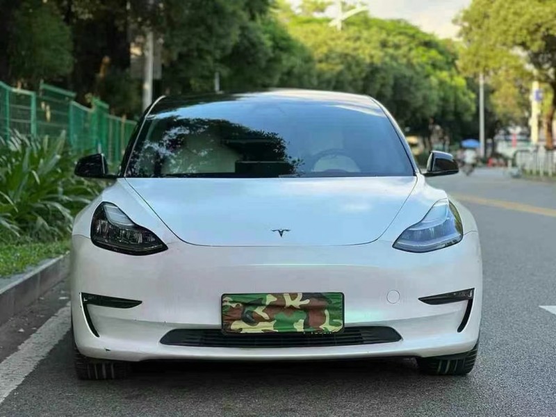 東莞19年特斯拉MODEL 31