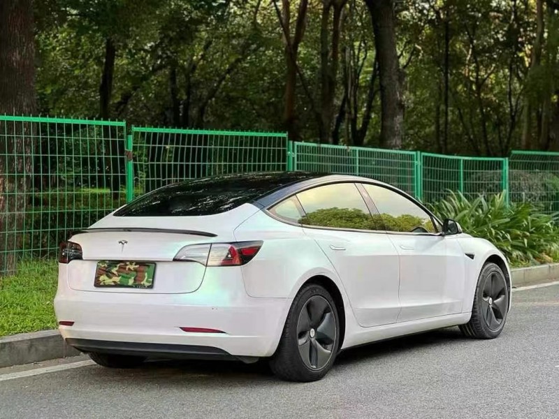 東莞19年特斯拉MODEL 38