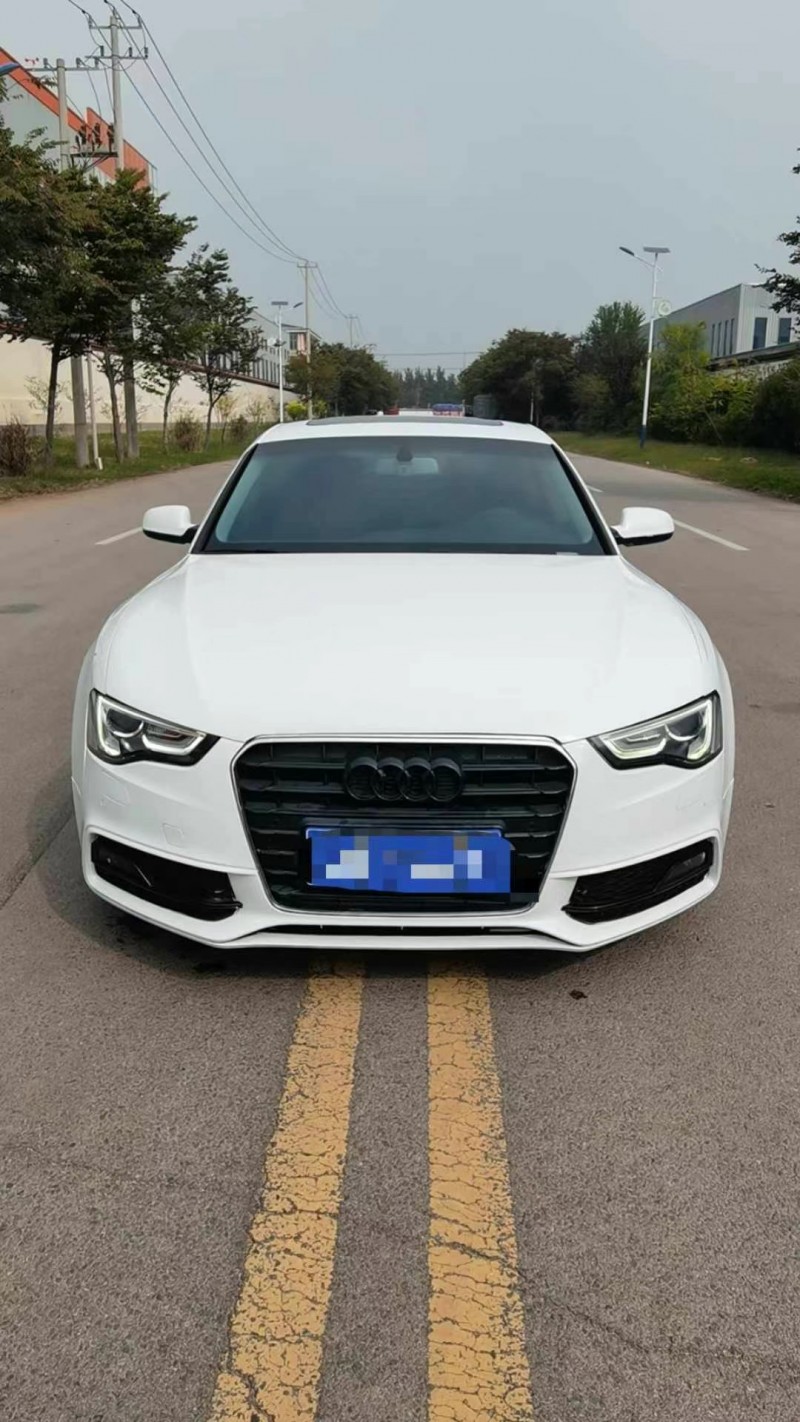 徐州16年奥迪A51