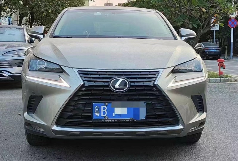 广州19年雷克萨斯NX1