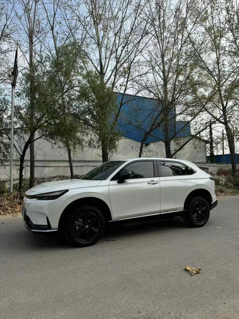 菏泽24年本田极湃2