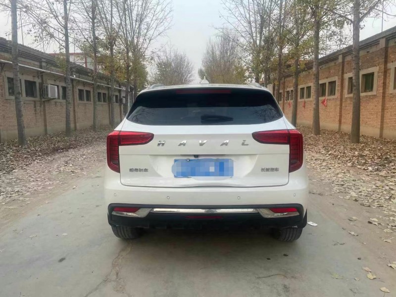 保定21年哈弗初恋9