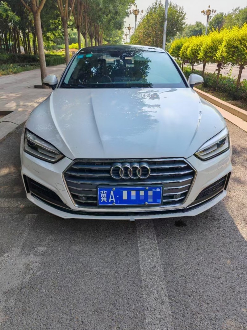 济宁17年奥迪A51