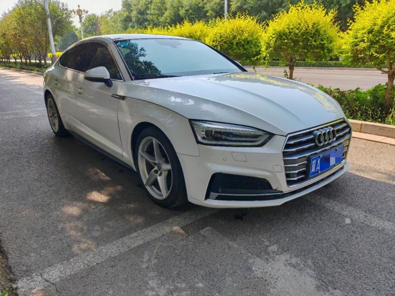 济宁17年奥迪A52