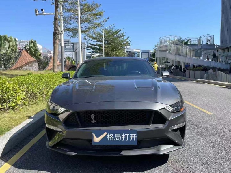 广州19年福特野马1