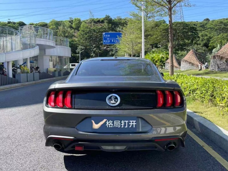 广州19年福特野马9