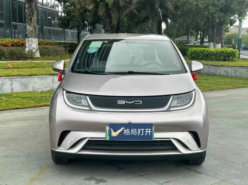 东莞24年比亚迪海豚1