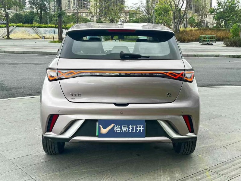 东莞24年比亚迪海豚9