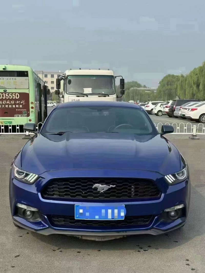 焦作16年福特野马1