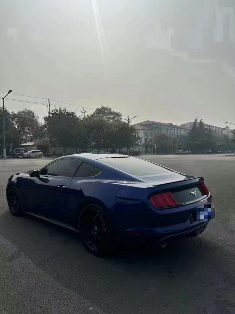 焦作16年福特野马5