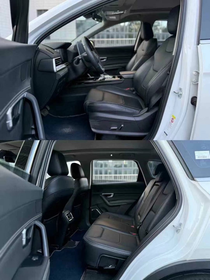 广州20年比亚迪宋8