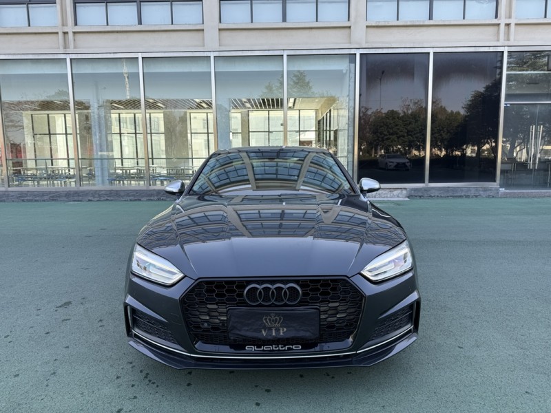 盐城19年奥迪A51