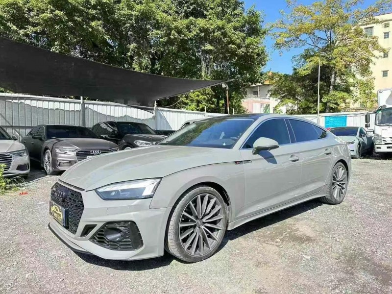 广州22年奥迪A52