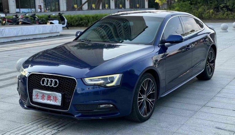 东莞14年奥迪A52