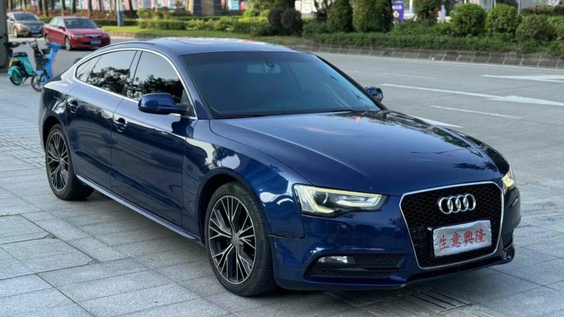 东莞14年奥迪A53