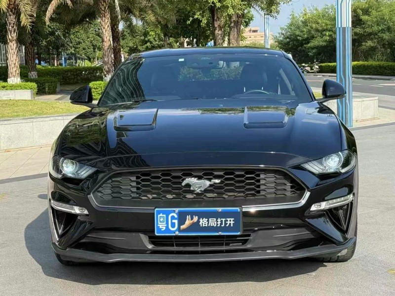 东莞21年福特野马1