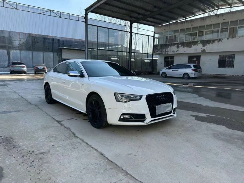 徐州14年奥迪S53